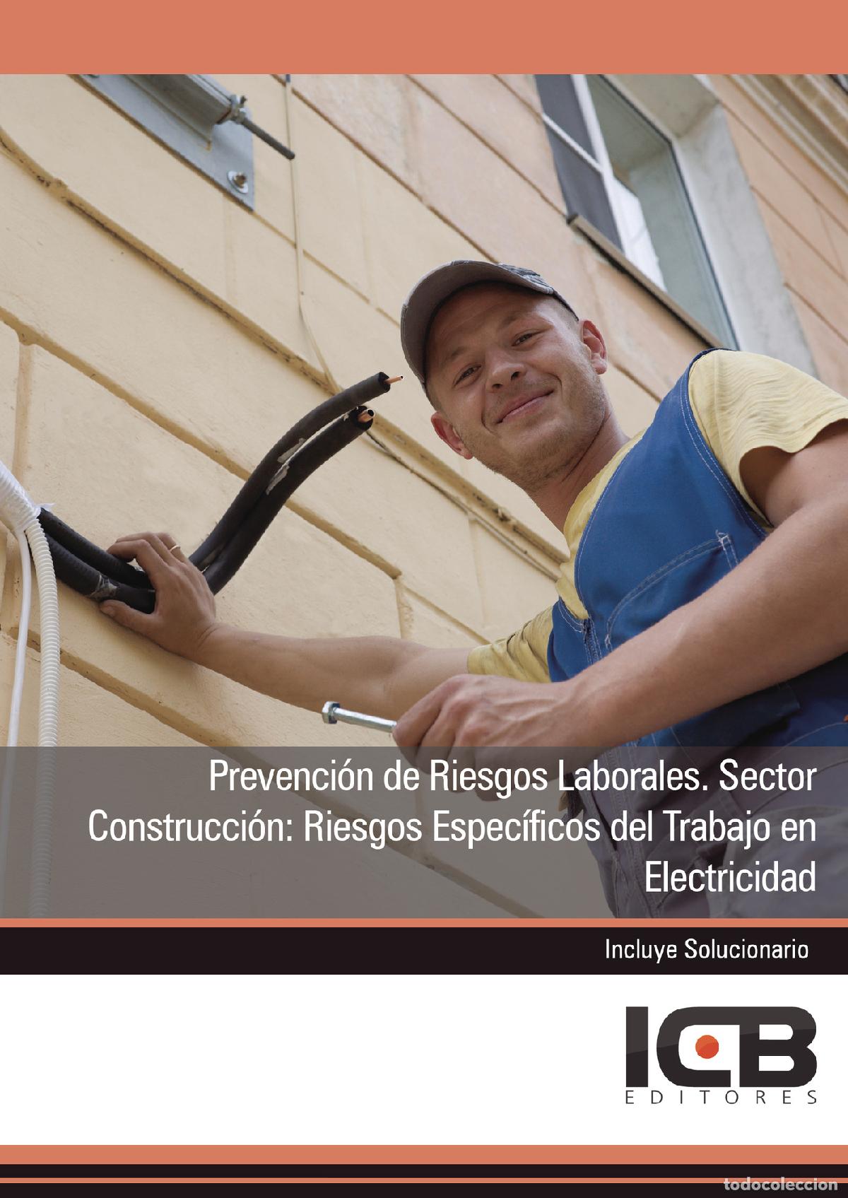 books: Prevenci&oacute;n de Riesgos Laborales. Sector Construcci&oacute;n: Riesgos Espec&iacute;ficos del Trabajo en Electricida
