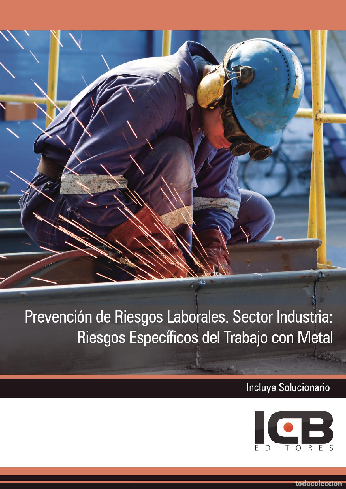 Libri: Prevenci&oacute;n de Riesgos Laborales. Sector Industria: Riesgos Espec&iacute;ficos del Trabajo con Metal - Estef