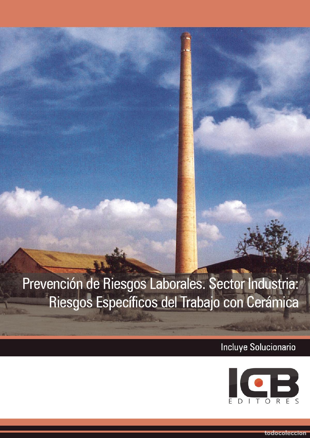 Libri: Prevenci&oacute;n de Riesgos Laborales. Sector Industria: Riesgos Espec&iacute;ficos del Trabajo con Cer&aacute;mica - Es