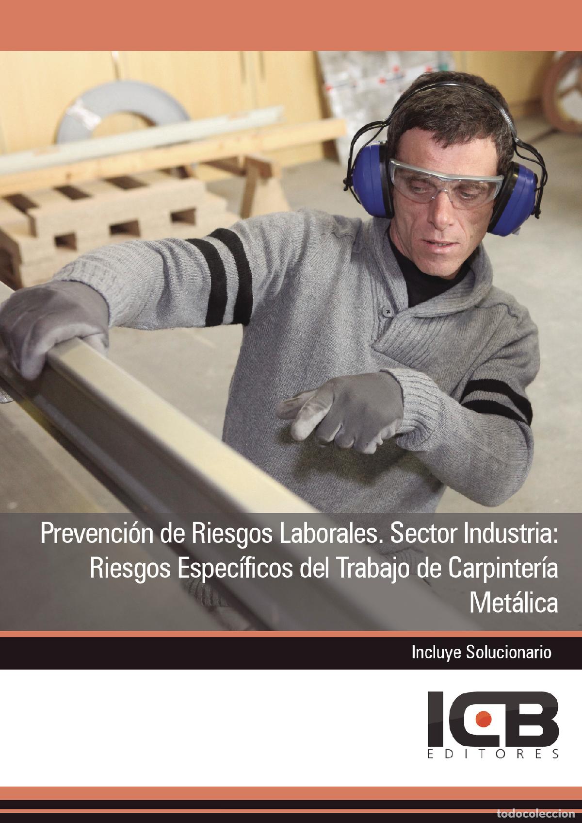 Livres: Prevenci&oacute;n de Riesgos Laborales. Sector Industria: Riesgos Espec&iacute;ficos del Trabajo de Carpinter&iacute;a Me