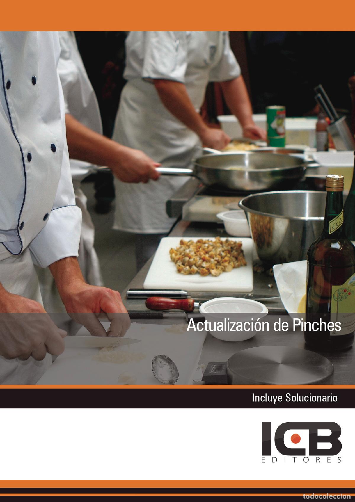 Livres: Actualizaci&oacute;n de Pinches - Jos&eacute; Miguel Requena Pel&aacute;ez