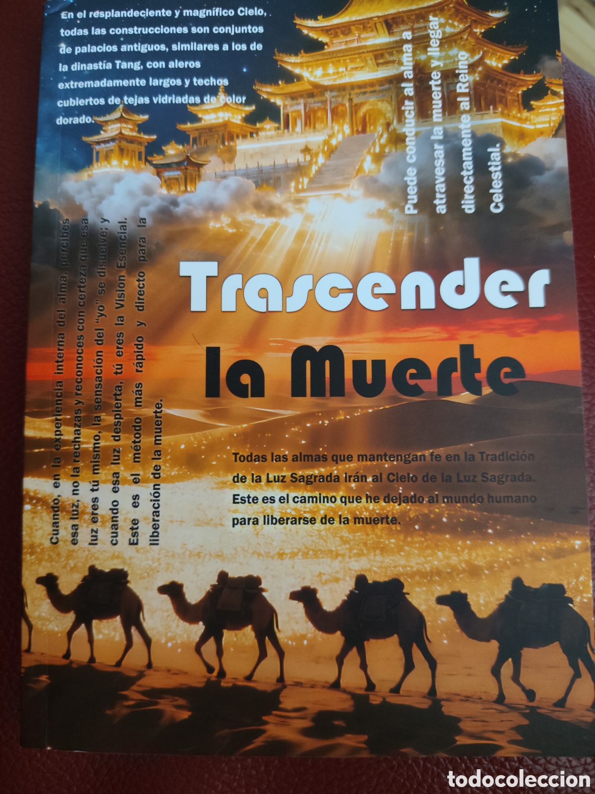 Libros: Trascender la muerte