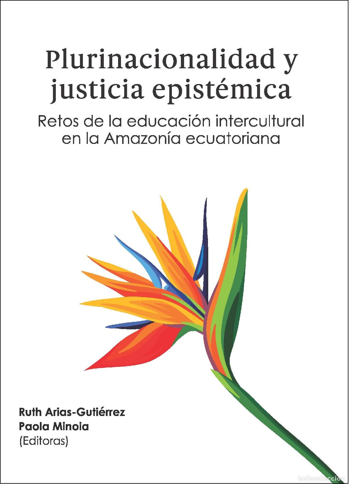 books: Plurinacionalidad y justicia epist&eacute;mica - Ruth Arias Guiti&eacute;rrez