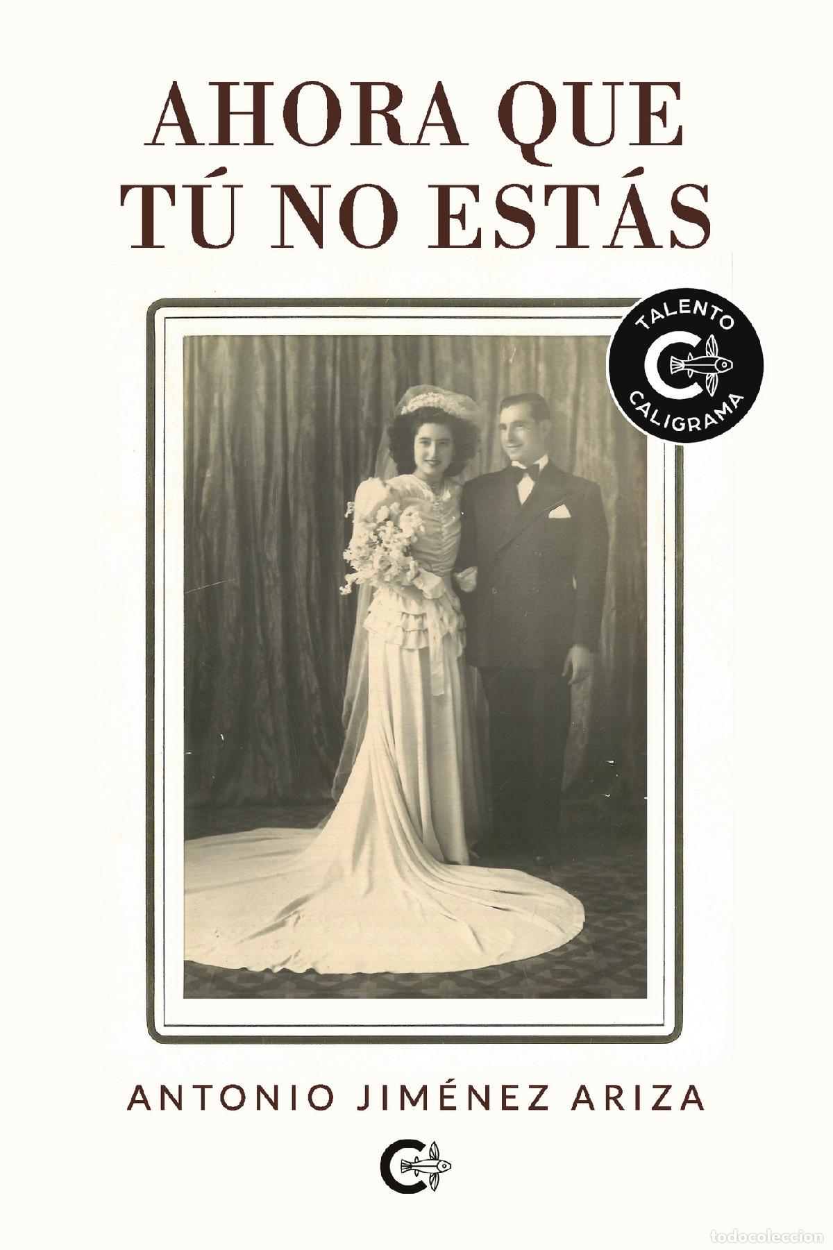 Libri: Ahora que t&uacute; no est&aacute;s - Antonio Jim&eacute;nez Ariza