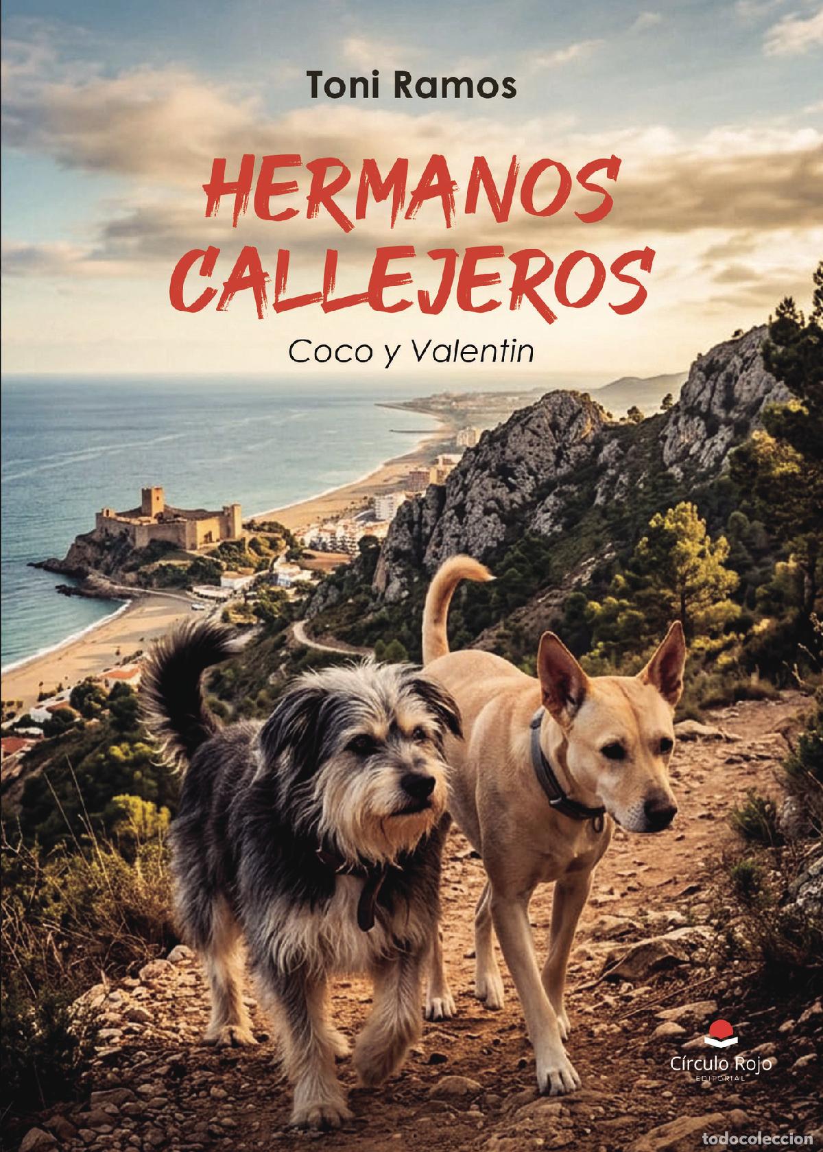 B&uuml;cher: Hermanos callejeros - Toni Ramos