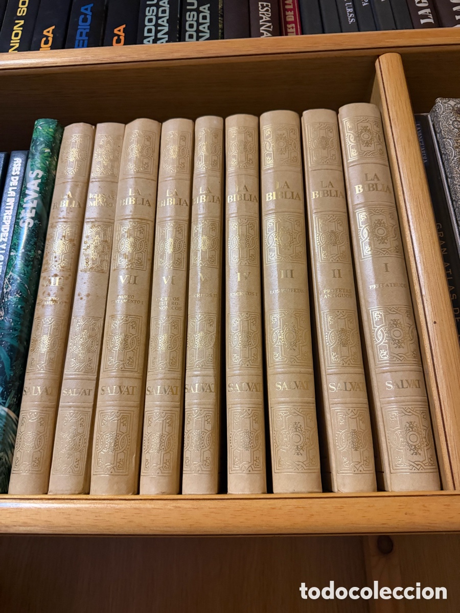 Libros: Biblia a tomos nueva