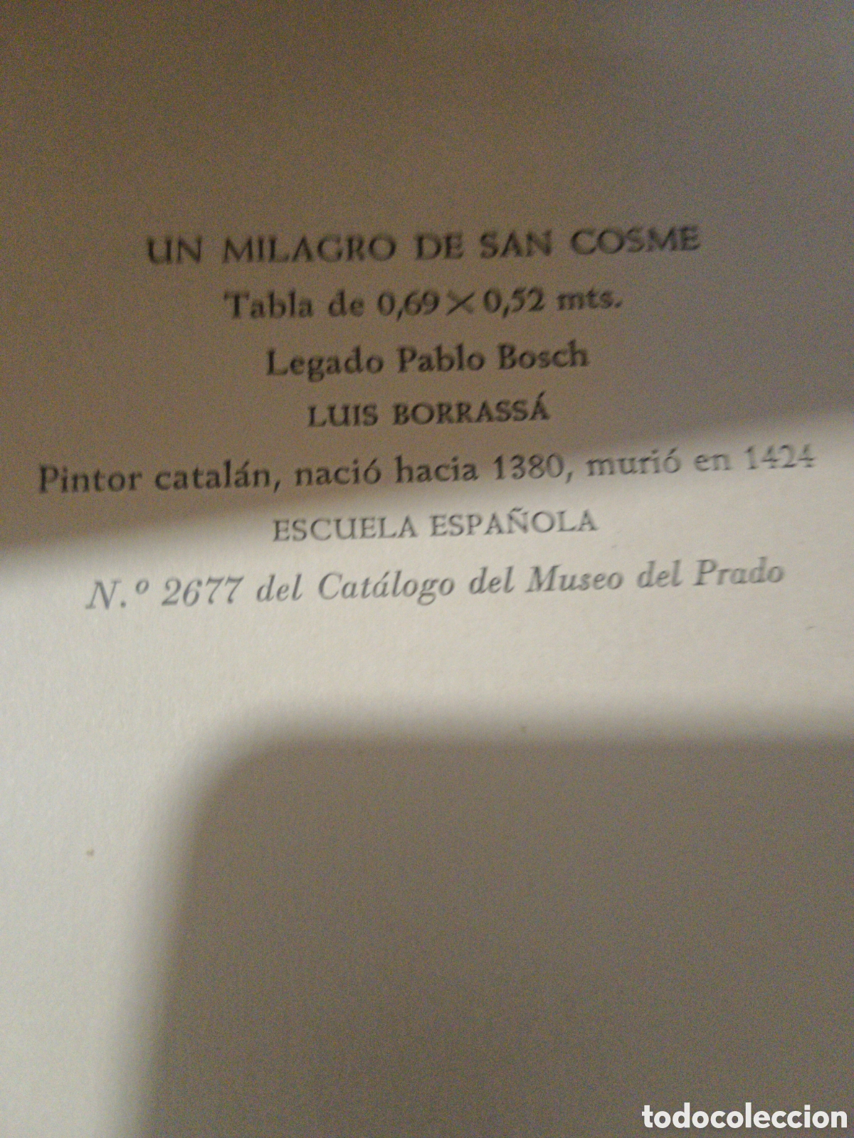 Libros: Laminas o Cat&aacute;logo muy grande - Foto 10