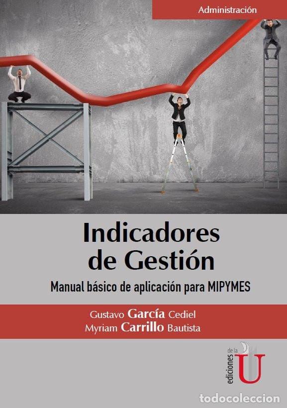 Livres: Indicadores de gesti&oacute;n. Manual B&aacute;sico de aplicaci&oacute;n para MIPYMES - Gustavo Garc&iacute;a Cediel