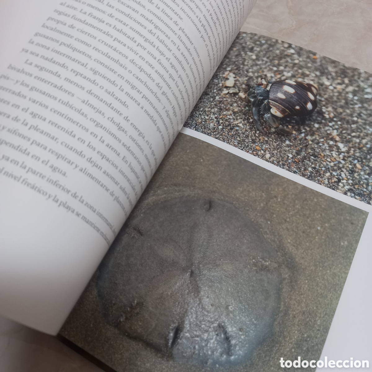 Libros: Libro Grande De Lujo microecosistemas biodiversidad de colombia