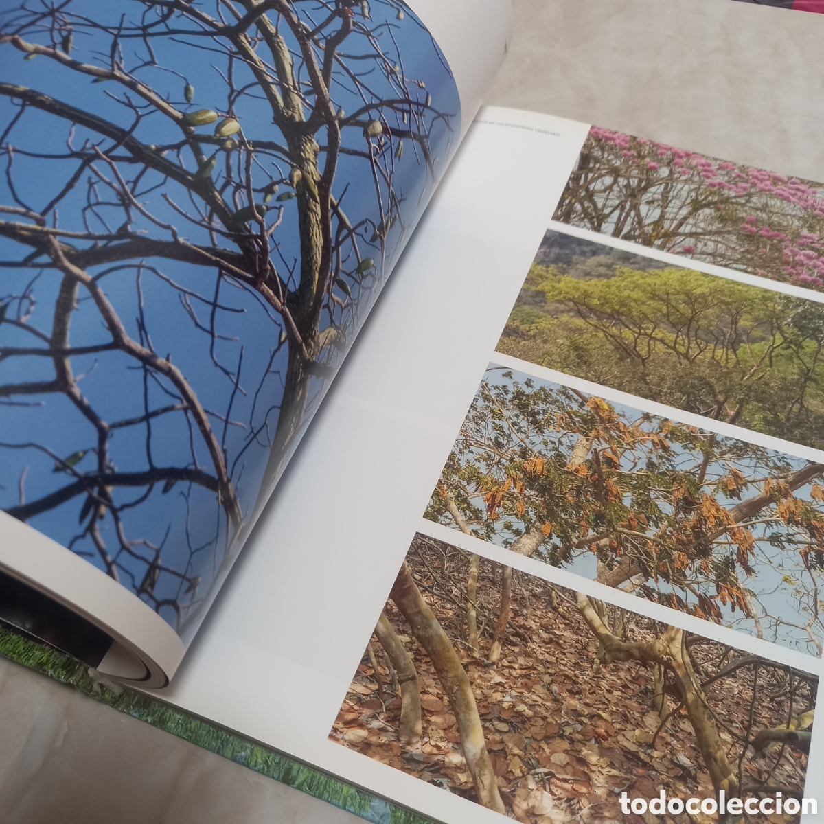 Libros: Libro Grande De Lujo Naturaleza Flora Fauna diversidad colombia en riesgo