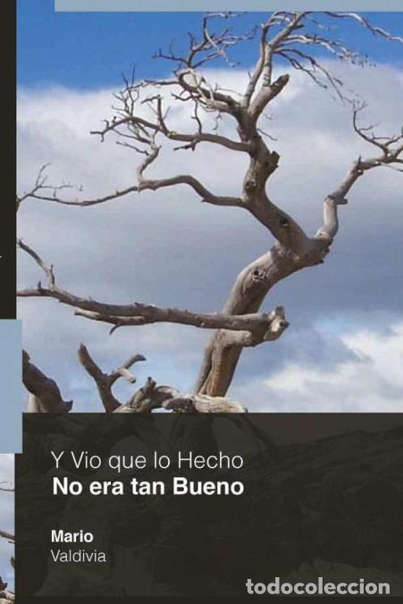 Livres: Y vio que lo hecho no era tan bueno - Mario Valdivia