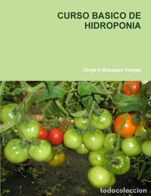 Libri: CURSO BASICO DE HIDROPONIA - Jorge H. Bosques Vargas