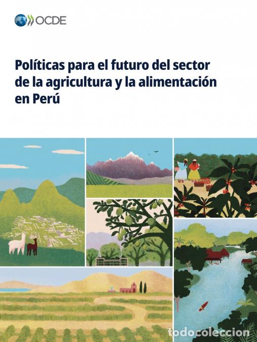 Libri: Pol&iacute;ticas para el futuro del sector de la agricultura y la alimentaci&oacute;n en Per&uacute; - OECD