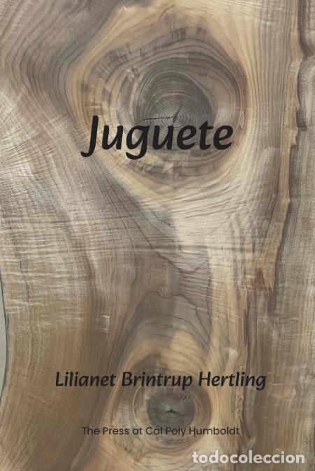 Libri: Juguete - Lilianet Brintrup Hertling