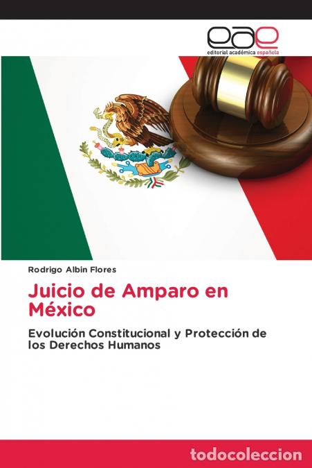 B&uuml;cher: Juicio de Amparo en M&eacute;xico - Rodrigo Albin Flores