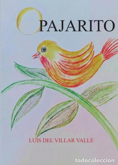 Libros: Pajarito - Luis del Villar Valle - Foto 1