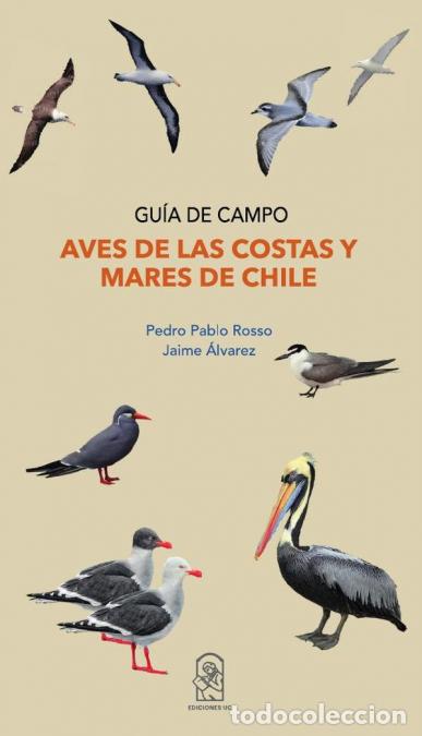 B&uuml;cher: Aves de las costas y mares de Chile - Pedro Pablo Rosso