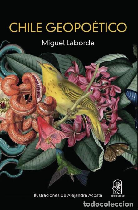 Libros: Chile geopo&eacute;tico - Miguel Laborde - Foto 1