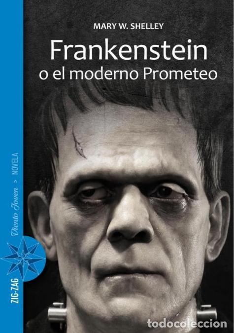 Libri: Frankenstein o el moderno Prometeo - Mary Shelley,Julio Meza