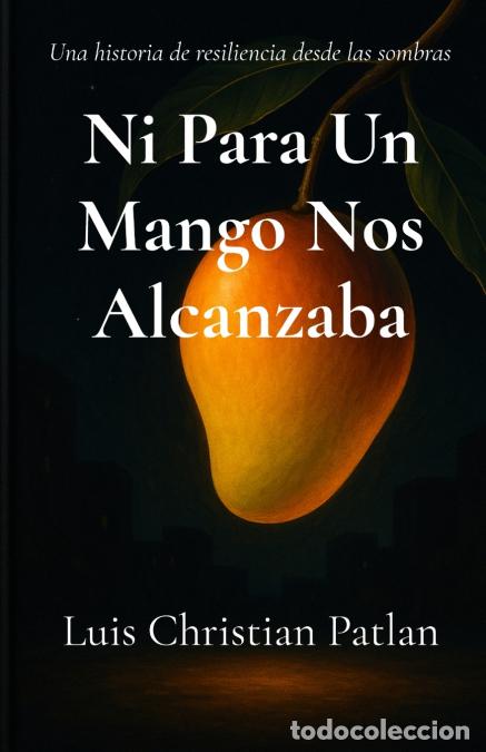 Libros: Ni Para Un Mango Nos Alcanzaba - Luis Christian Patlan