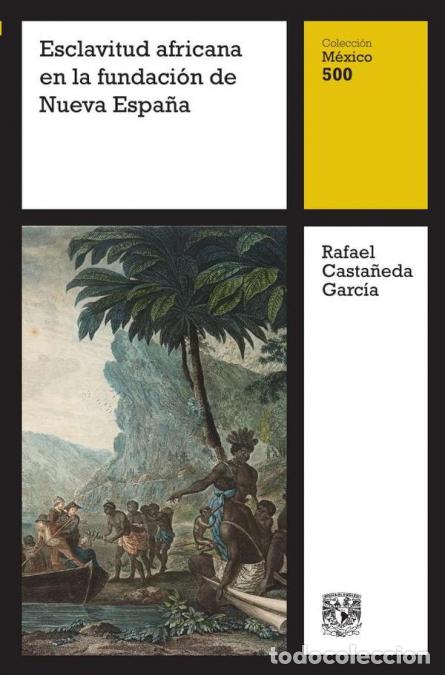 B&uuml;cher: Esclavitud africana en la fundaci&oacute;n de Nueva Espa&ntilde;a - Rafael Casta&ntilde;eda Garc&iacute;a