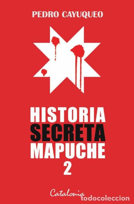 B&uuml;cher: Historia secreta mapuche 2 - Pedro Cayuqueo