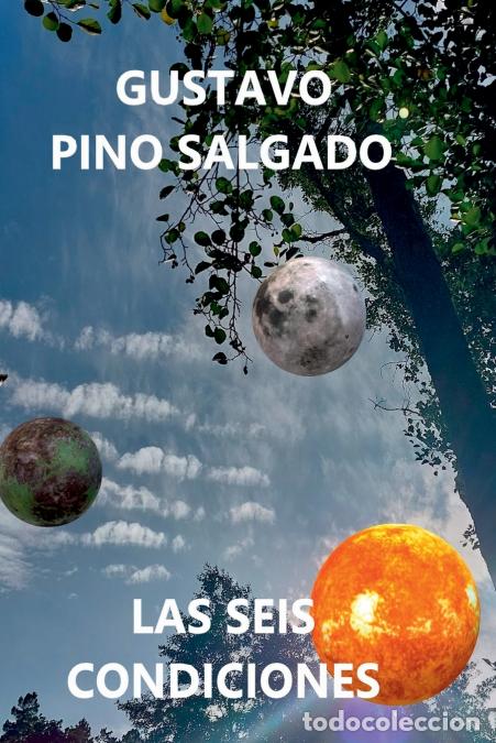Libros: Las Seis Condiciones - GUSTAVO PINO SALGADO - Foto 1