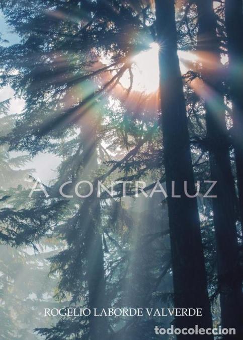 Libros: A contraluz - Rogelio Laborde Valverde - Foto 1