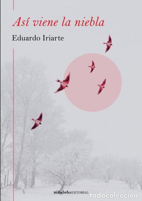 Libros: As&iacute; viene la niebla - Eduardo Iriarte