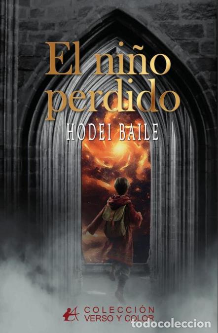 Libros: El ni&ntilde;o perdido - Hodei Baile - Foto 1