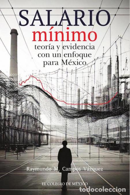 Livros: Salario m&iacute;nimo: - teor&iacute;a y evidencia con un enfoque para M&eacute;xico - Raymundo M. Campos V&aacute;zquez,Raymun