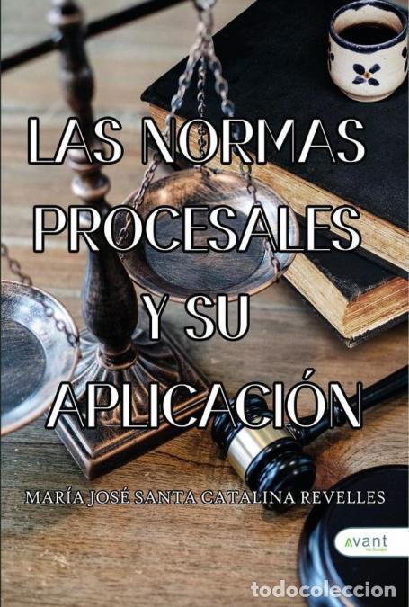 books: Las normas procesales y su aplicaci&oacute;n - Mar&iacute;a Jos&eacute; Santacatalina