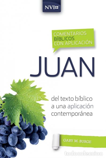 books: Comentario b&iacute;blico con aplicaci&oacute;n NVI Juan - Del texto b&iacute;blico a una aplicaci&oacute;n contempor&aacute;nea - Gary
