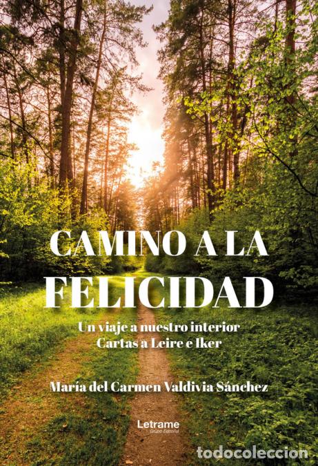 B&uuml;cher: Camino a la felicidad - Un viaje a nuestro interior. Cartas a Leire e Iker - Mar&iacute;a del Carmen Valdiv
