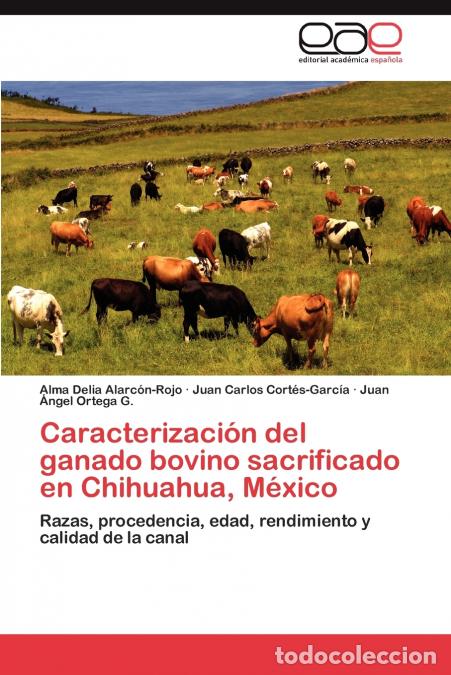 Livros: Caracterizaci&oacute;n del ganado bovino sacrificado en Chihuahua, M&eacute;xico - Alarc&oacute;n-Rojo Alma Delia,Cort&eacute;s-