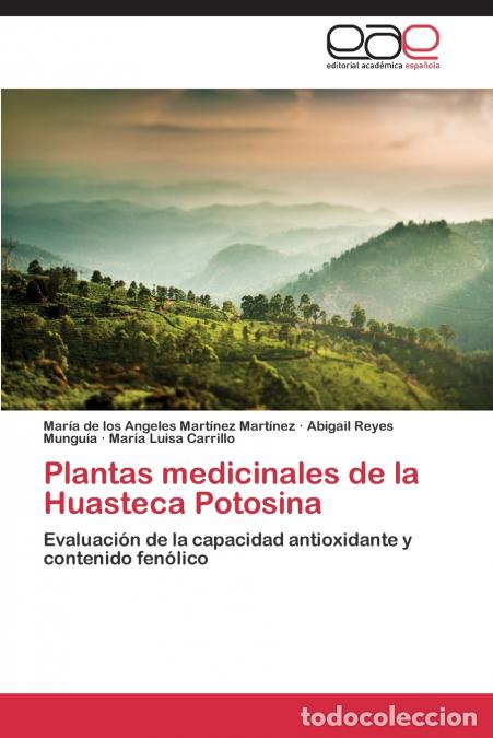 Livros: Plantas Medicinales de La Huasteca Potosina - Martinez Martinez Maria De Los Angele,Reyes Munguia Ab