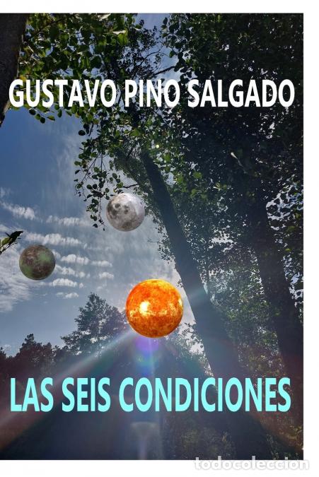 Libros: Las seis condiciones - GUSTAVO PINO SALGADO - Foto 1