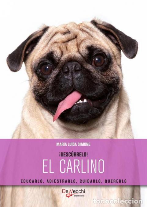 Libros: El Carlino - Maria Luisa Simone - Foto 1