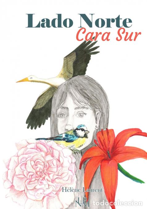 Livros: Lado norte, cara sur - H&eacute;l&egrave;ne Laurent,Carmen Pe&ntilde;a,Marta Felones