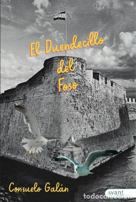 Libri: El duendecillo del foso - Consuelo Gal&aacute;n D&iacute;az