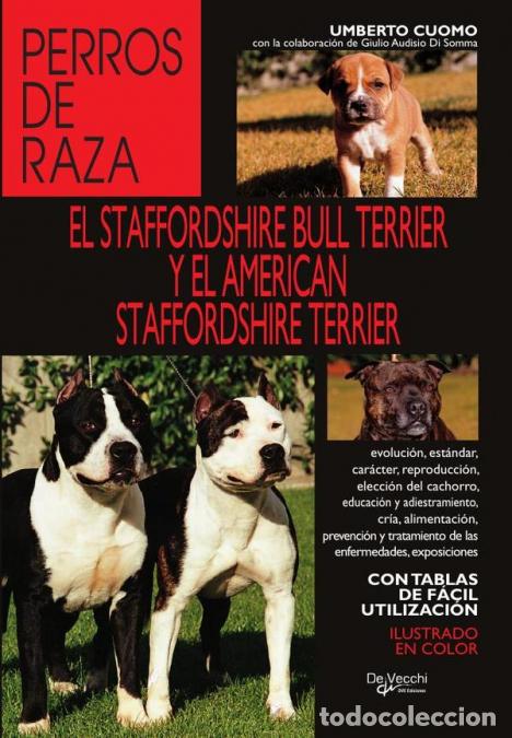 Libri: El staffordshire bull terrier y el american staffordshire terrier - Umberto Cuomo