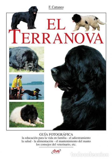 B&uuml;cher: El terranova - F. Cattaneo