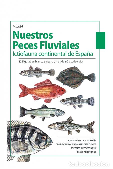 Libri: Nuestros Peces Fluviales - (Ictiofauna Continental De Espa&ntilde;a) - V. Ema