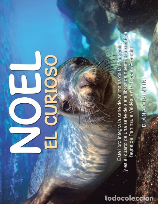 Libri: Noel el curioso - Diana Visintini