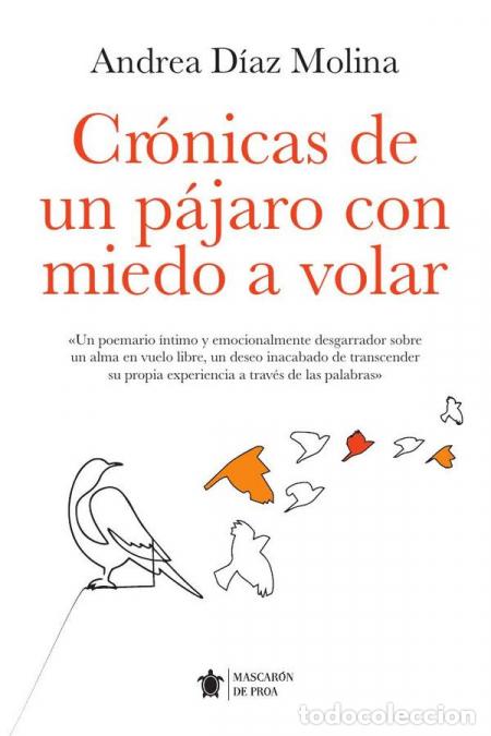 Libri: Cr&oacute;nicas de un p&aacute;jaro con miedo a volar - Andrea D&iacute;az Molina