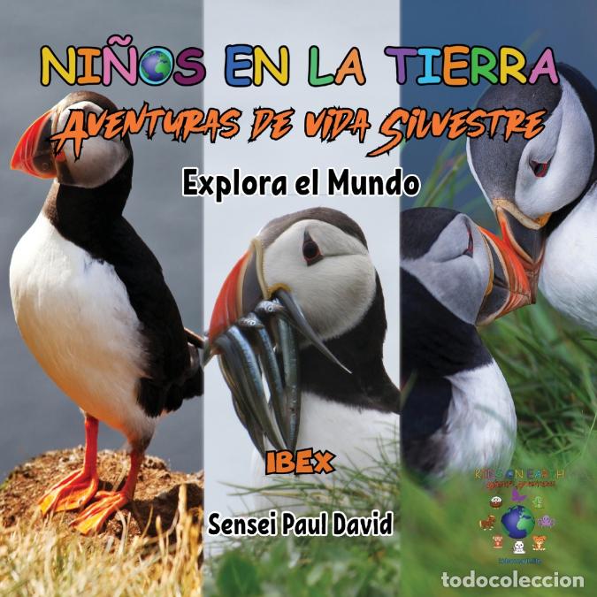 B&uuml;cher: Nin?os en la Tierra Aventuras de vida Silvestre - Explora el Mundo Puffin - Iceland - Sensei Paul Da