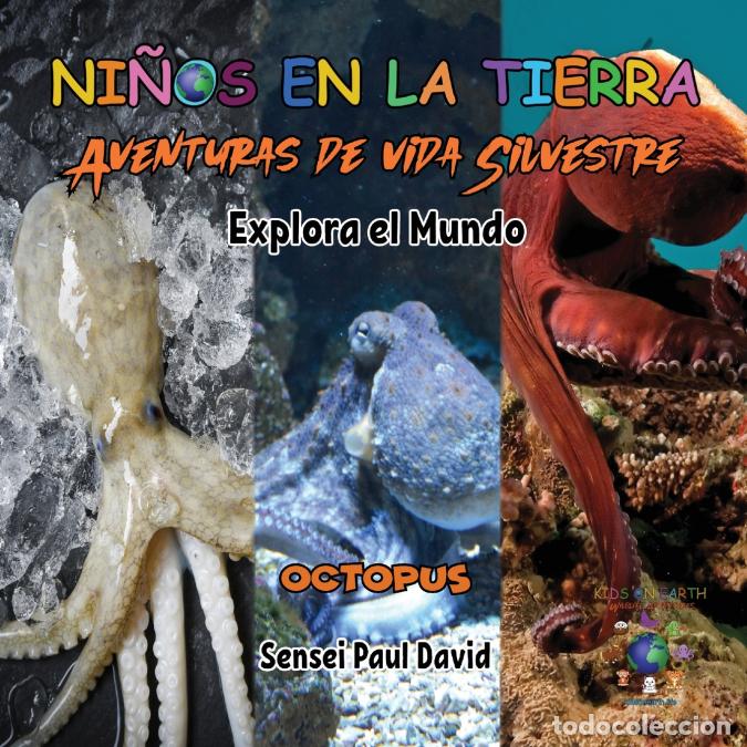 B&uuml;cher: Nin?os en la Tierra Aventuras de vida Silvestre - Explora el Mundo Octopus - Maldives - Sensei Paul