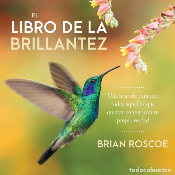 Libros: El libro de la brillantez - Brian Roscoe