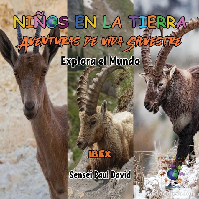 Libri: Nin?os en la Tierra - Aventuras de vida Silvestre - Explora el Mundo Ibex - Sensei Paul David