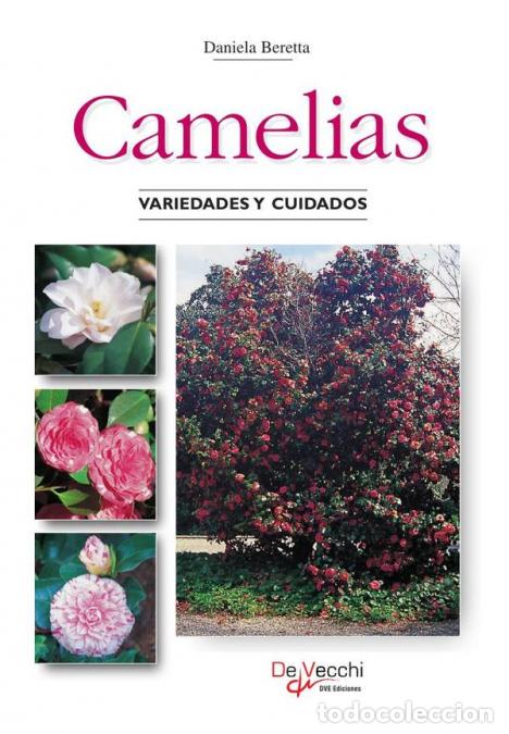 B&uuml;cher: Camelias - Daniela Beretta